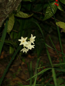 P1208909shuusei.JPG