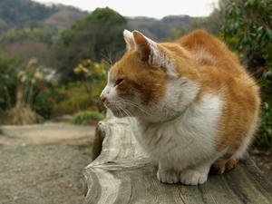 P1208957shuusei.JPG