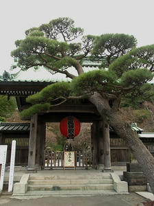 P1208981shuusei.JPG