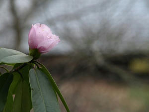 P1209022shuusei.JPG