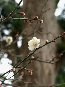P1209018shuusei.JPG