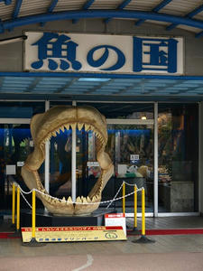 P1309140shuusei.JPG