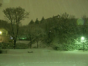 P2090134shuusei.JPG