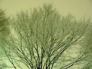 P2090130shuusei.JPG