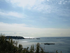P1309754shuusei.JPG