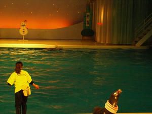 P1309482shuusei.JPG