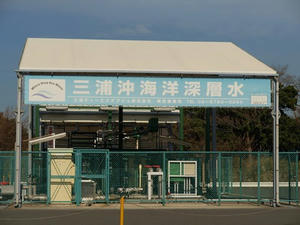 P1309799shuusei.JPG