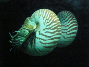 P1300088shuusei.JPG