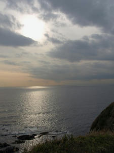 P1309822shuusei.JPG