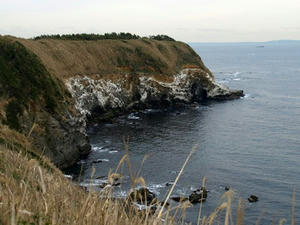 P1309890shuusei.JPG