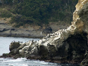 P1309844shuusei.JPG