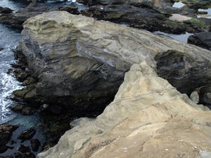 P1309938shuusei.JPG