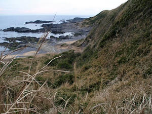 P1309965shuusei.JPG