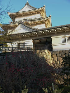 P2131104shuusei.JPG