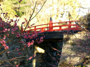 P2131138shuusei.JPG