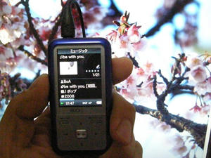 P2220004.JPG