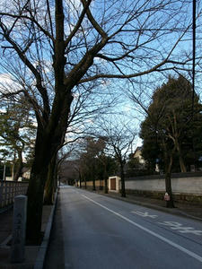 P2131179shuusei.JPG