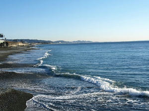 P2131186shuusei.JPG