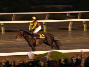 PC291954shuusei.JPG