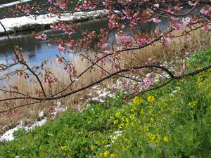 P2131256shuusei.JPG