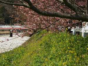 P2131286shuusei.JPG