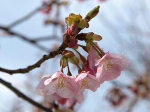 P2131272shuusei.JPG