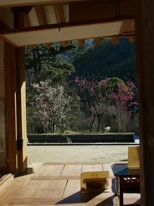 P2131440shuusei.JPG