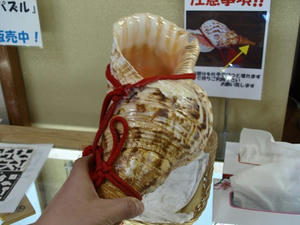 P2131507shuusei.JPG