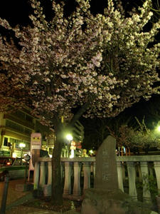 P2131551shuusei.JPG
