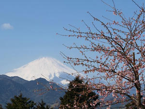 P2241665shuusei.JPG