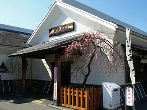 P2241782shuusei.JPG