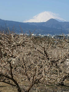 P2241700shuusei.JPG