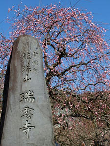 P2241720shuusei.JPG