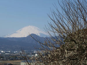 P2241750shuusei.JPG