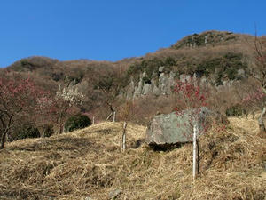 P2241850shuusei.JPG