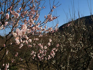 P2241835shuusei.JPG