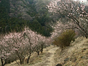 P2241913shuusei.JPG