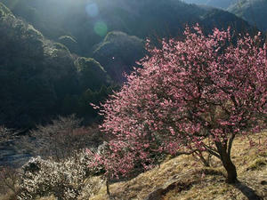 P2241854shuusei.JPG