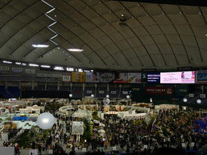 P2271925shuusei.JPG