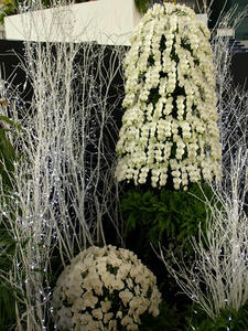 P2272102shuusei.JPG