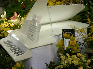 P2271952shuusei.JPG