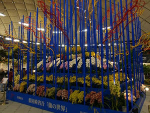 P2271950shuusei.JPG