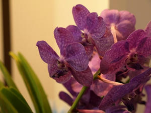 P2272055shuusei.JPG