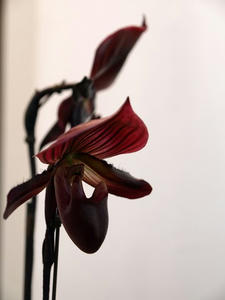 P2272059shuusei.JPG