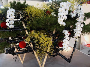 P2272087shuusei.JPG