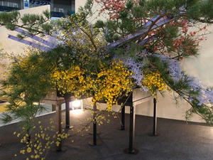 P2272090shuusei.JPG