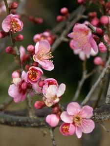 P2191587shuusei.JPG