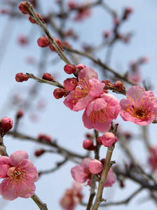 P2191604shuusei.JPG