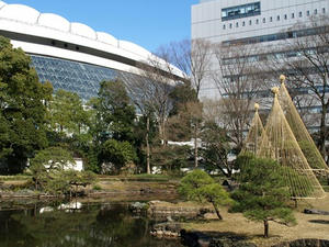 P2272368shuusei.JPG