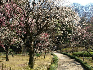 P2272334shuusei.JPG
